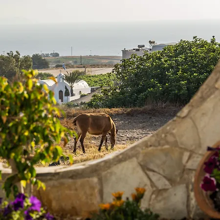 Appart hôtel Stavros 3*