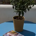 ستافروس فيلاز 3*