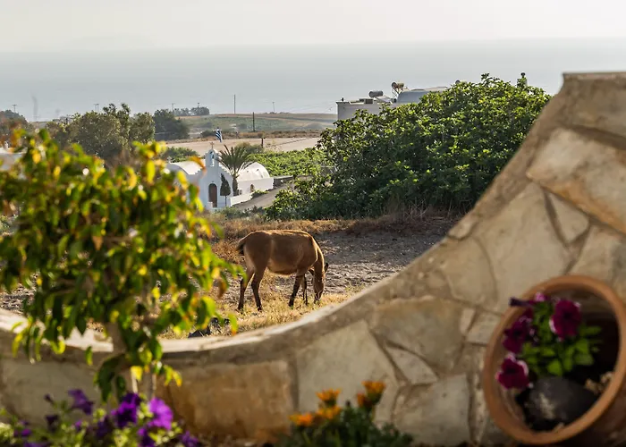 Aparthotel Stavros 3*